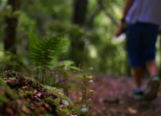 Hiking – Biking